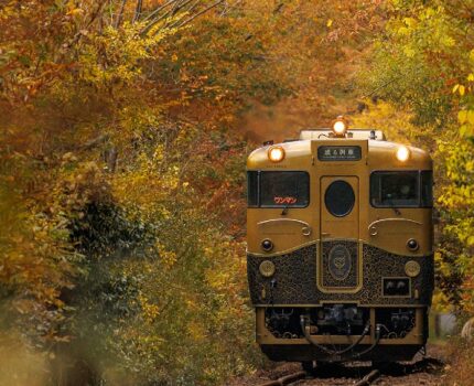 九州觀光列車介紹｜8種九州熱門觀光列車+3種特別列車的特色、行駛路線、是否能使用九州JR PASS、如何事先購票或預約指定席，文章裡通通有答案。